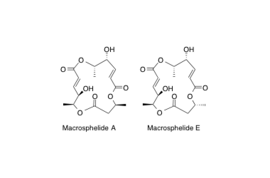 Macrosphelide A, E