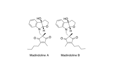 Madindoline A, B