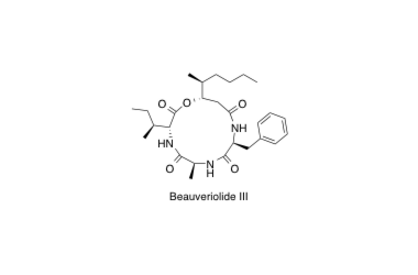 Beauveriolide