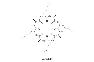 Verticilide