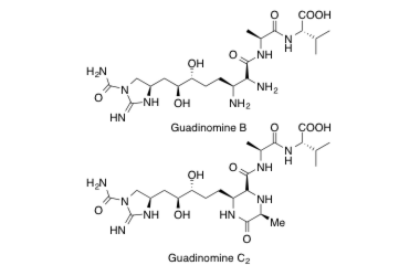 Guadinomine B, C2