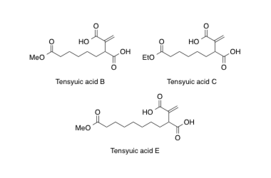 Tensyuic acid B, C, E