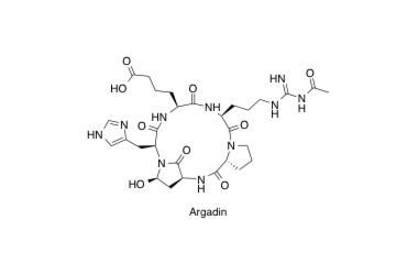 Argadin