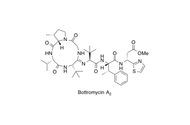 Bottromycin A2