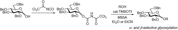 graphical abstract - Improved catalytic and stereoselective glycosylation with glycosyl N-trichloroacetylcarbamate: application to various 1-hydroxy sugars.