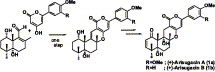 graphical abstract - Absolute stereochemistries and total synthesis of (+)-arisugacins A and B, potent, orally bioactive and selective inhibitors of acetylcholinesterase.