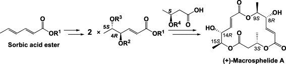 graphical abstract - Absolute stereochemistries and total synthesis of (+)/(-)-macrosphelides, potent, orally bioavailable inhibitors of cell-cell adhesion.