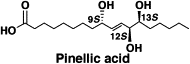 graphical abstract - Total synthesis, elucidation of absolute stereochemistry, and adjuvant activity of trihydroxy fatty acids.