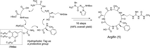 graphical abstract - Solution-phase total synthesis of the hydrophilic natural product argifin using 3,4,5-tris(octadecyloxy)benzyl tag.