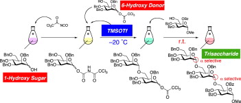 graphical abstract - Sequential one-pot glycosylation with glycosyl N-trichloroacetylcarbamate and trichloroacetate including dehydrative approach using 1-hydroxy sugars.