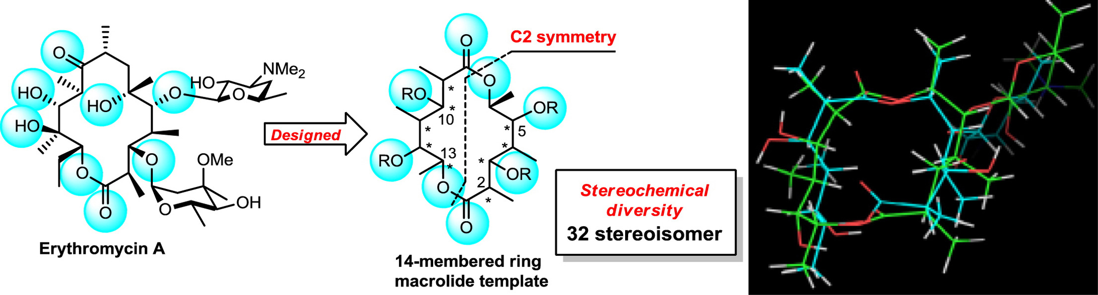 graphical abstract - An architectonic macrolide library based on a C2-symmetric macrodiolide toward pharmaceutical compositions.