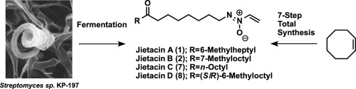 graphical abstract - Jietacins with potent nematocidal activity; efficient isolation of novel analogues and divergent total synthesis of jietacin A, B, C, and D.