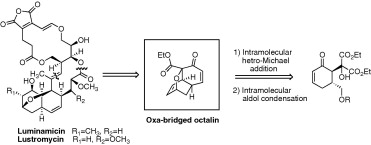 graphical abstract - Synthesis of the oxa-bridged octalin system of two anti-anaerobe antibiotics, luminamicin and lustromycin.