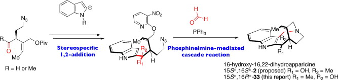 graphical abstract - The first total synthesis and reassignment of the relative stereochemistry of 16-hydroxy-16,22-dihydroapparicine.