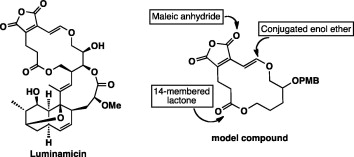 graphical abstract -  Toward the total synthesis of Luminamicin: construction of 14-membered lactone framework possessing versatile enol ether moiety.