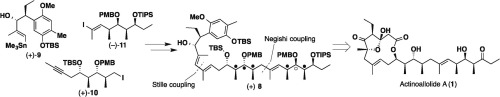 graphical abstract - Towards the total synthesis of the anti-trypanosomal macrolide, Actinoallolides; construction of a key linear intermediate