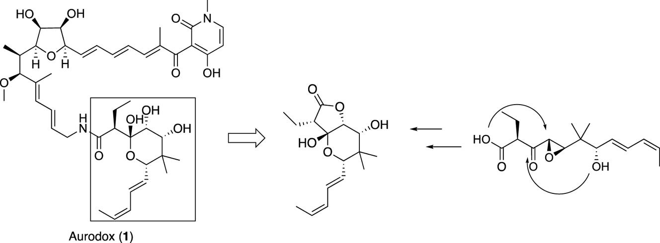 graphical abstract - Toward the total synthesis of aurodox: preparation of the key hemiacetal-lactone.