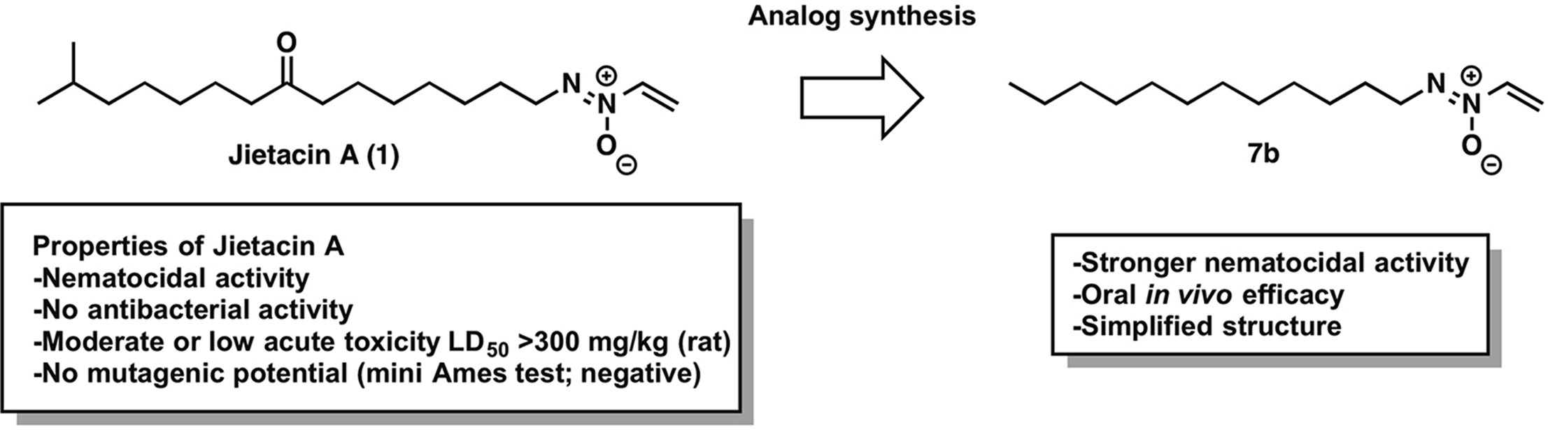 graphical abstract - Jietacins, azoxy antibiotics with potent nematocidal activity: Design, synthesis, and biological evaluation against parasitic nematodes