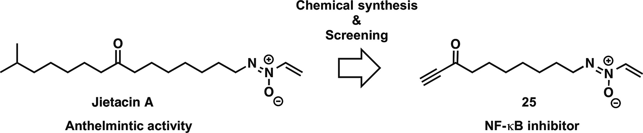 graphical abstract - Jietacins, azoxy natural products, as novel NF-κB inhibitors: Discovery, synthesis, biological activity, and mode of action