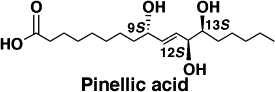 graphical abstract - Total synthesis and adjuvant activity of all stereoisomers of pinellic acid.