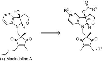 graphical abstract - Design, synthesis, and biological activities of madindoline analogs.