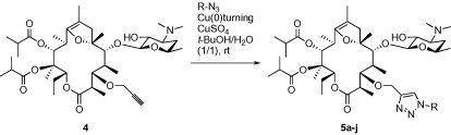 graphical abstract - Design and synthesis via click chemistry of 8,9-anhydroerythromycin A 6,9-hemiketal analogues with anti-MRSA and -VRE activity.