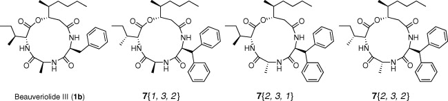 graphical abstract - Synthesis and biological evaluation of a focused library of beauveriolides.