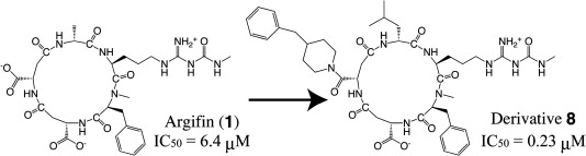 graphical abstract - Computer-aided rational molecular design of argifin-derivatives with more potent inhibitory activity against chitinase B from Serratia marcescens.