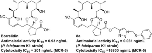 graphical abstract - Borrelidin analogues with antimalarial activity: design, synthesis and biological evaluation against Plasmodium falciparum parasites