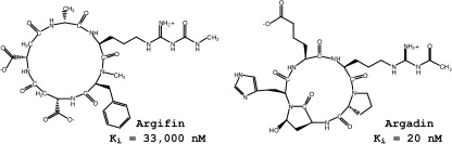 graphical abstract - Computational analysis of the binding affinities of the natural-product cyclopentapeptides argifin and argadin to chitinase B from Serratia marcescens.