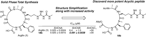 graphical abstract - Argifin; efficient solid phase total synthesis and evaluation of analogues of acyclic peptide