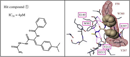 graphical abstract - actions
Cite
Collections
share
  
page navigation
Title & authors
Abstract
Similar articles
Publication types
MeSH terms
Substances
Related information
LinkOut - more resources
Bioorg Med Chem
. 2013 Jun 1;21(11):3214-20. doi: 10.1016/j.bmc.2013.03.047. Epub 2013 Apr 1.
