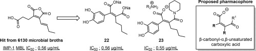 Graphical abstracts - A new selective inhibitor for IMP-1 metallo-β-lactamase, 3Z,5E-octa-3,5-diene-1,3,4-tricarboxylic acid-3,4-anhydride