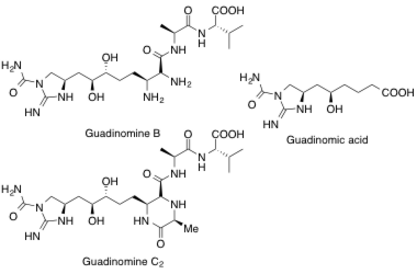 Guadinomine B2, C, Guadinomic acid