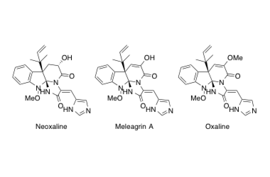 Neoxaline, Meleagrin A, Oxaline