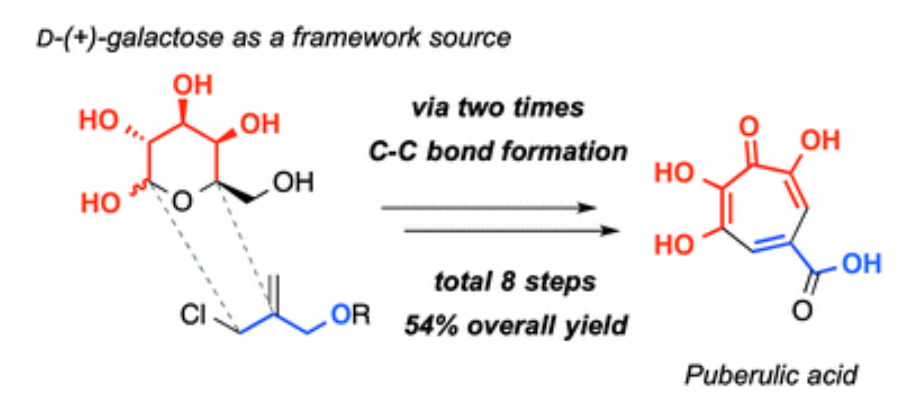 graphical abstract - A concise total synthesis of puberulic acid, a potent antimalarial agent