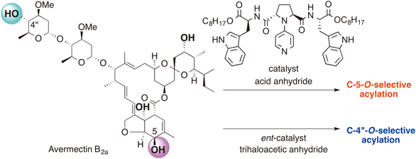 graphical abstract - Organocatalytic Site-Selective Acylation of Avermectin B2a, a Unique Endectocidal Drug