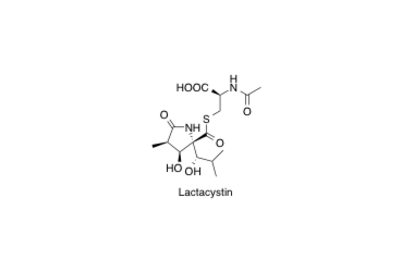 Lactacystin