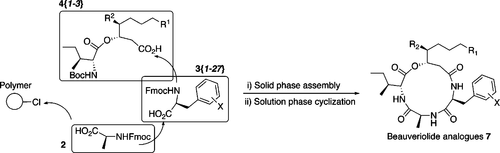 graphical abstract - J. Comb. Chem. 2006, 8, 103-109.
