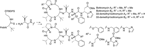 graphical abstract - Synthesis and Evaluation of Antibacterial Activity of Bottromycins