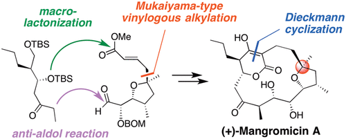 graphical abstract - Total Synthesis and Determination of the Absolute Configuration of Naturally Occurring Mangromicin A, with Potent Antitrypanosomal Activity.