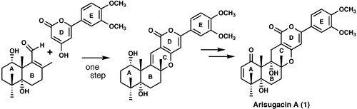 graphical abstract - The First Total Synthesis of (±)-Arisugacin A, a Potent, Orally Bioavailable Inhibitor of Acetylcholinesterase.