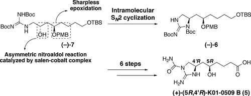 graphical abstract - Asymmetric Total Synthesis of (+)-K01-0509 B: Determination of Absolute Configuration.