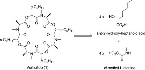 graphical abstract - Verticilide: Elucidation of Absolute Configuration and Total Synthesis.