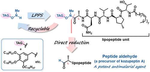 graphical abstract - Synthesis of the Antimalarial Peptide Aldehyde, a Precursor of Kozupeptin A, Utilizing a Designed Hydrophobic Anchor Molecule.