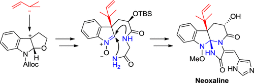 graphical abstract -  Asymmetric Total Synthesis of Neoxaline.