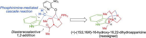 graphical abstract - Structure Determination and Total Synthesis of (+)-16-Hydroxy-16,22-dihydroapparicine.