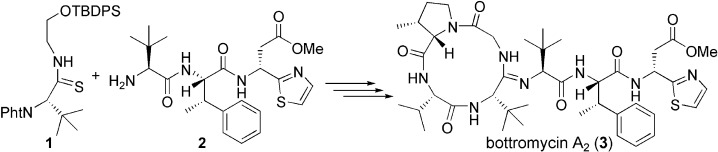 graphical abstract - Structure determination and total synthesis of bottromycin A2: a potent antibiotic against MRSA and VRE