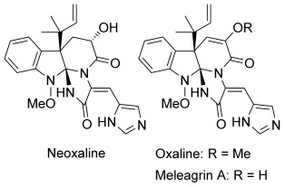 graphical abstract - Asymmetric Total Synthesis of Indole Alkaloids Containing An Indoline Spiroaminal Framework.