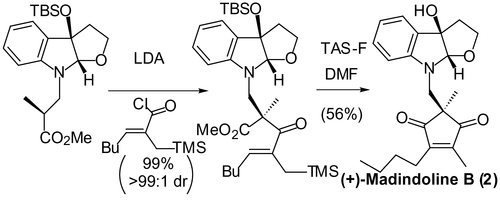 graphical abstract - Short Total Synthesis of (+)-Madindolines A and B.